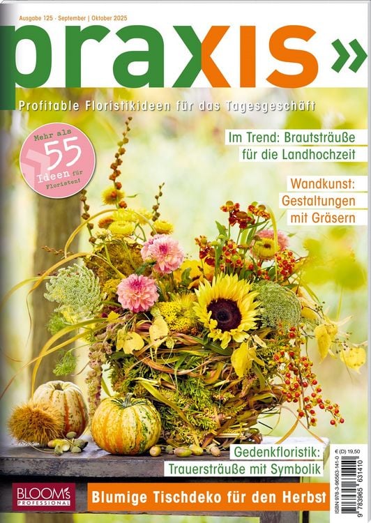 Produktbild: Praxis Nr. 125