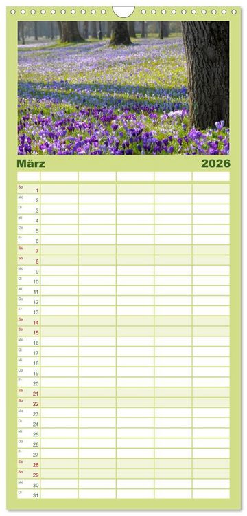 Produktbild: Familienplaner 2026 - Wald und Baum 2026 mit 5 Spalten (Wandkalender, 21 x 45 cm) CALVENDO