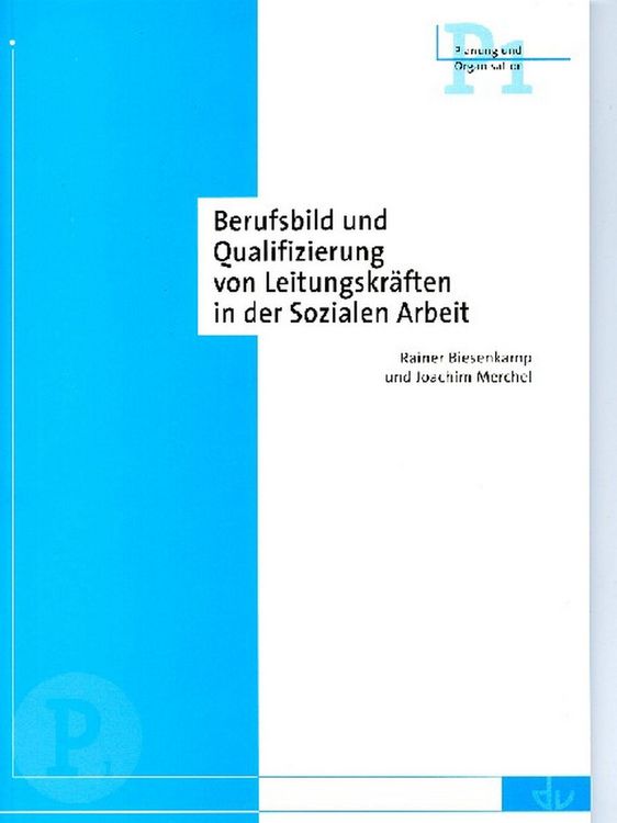 Produktbild: Berufsbild und Qualifizierung von Leitungskr&auml;ften in der Sozialen Arbeit