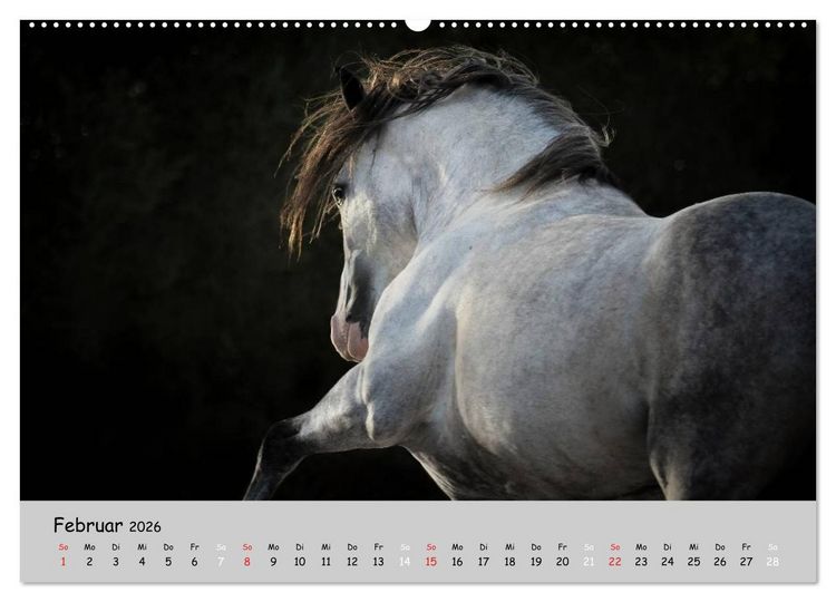 Produktbild: Pferde - Anmut und St&auml;rke gepaart mit Magie (Wandkalender 2026 DIN A2 quer), CALVENDO Monatskalender