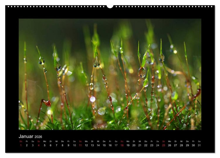 Produktbild: Meine kleine gr&uuml;ne Wassertropfen Welt (hochwertiger Premium Wandkalender 2026 DIN A2 quer), Kunstdruck in Hochglanz