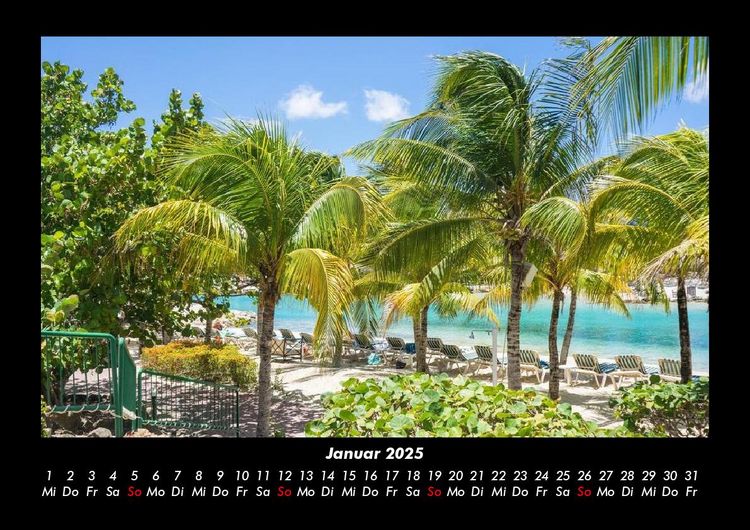 Produktbild: Palmen 2025 Fotokalender DIN A3