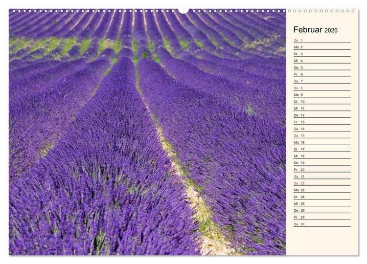 Produktbild: Lavendel (hochwertiger Premium Wandkalender 2026 DIN A2 quer), Kunstdruck in Hochglanz