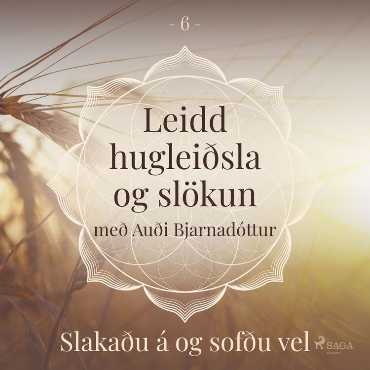 Produktbild: Leidd huglei&eth;sla og sl&ouml;kun - Slaka&eth;u &aacute; og sof&eth;u vel