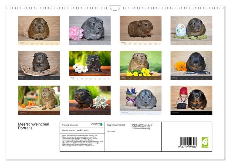 Produktbild: Meerschweinchen Portraits (Wandkalender 2026 DIN A3 quer), CALVENDO Monatskalender