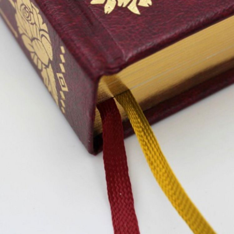 Produktbild: Das Panini Lesejournal