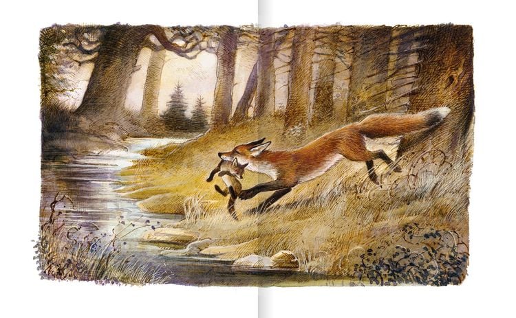 Produktbild: Der Findefuchs &ndash; Wie der kleine Fuchs eine Mutter bekam