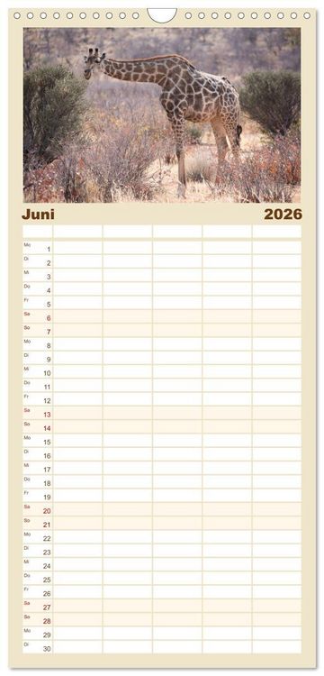 Produktbild: Familienplaner 2026 - Namibia - Sehnsucht der Ferne mit 5 Spalten (Wandkalender, 21 x 45 cm) CALVENDO