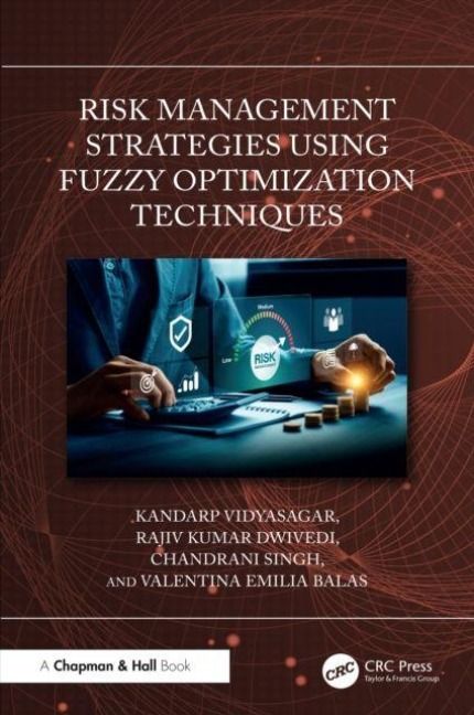 Produktbild: Risk Management Strategies Using Fuzzy Optimization Techniques