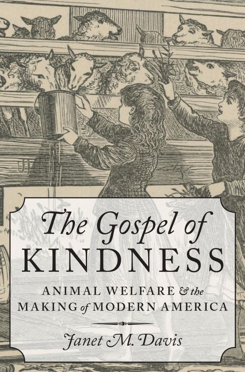 Produktbild: The Gospel of Kindness