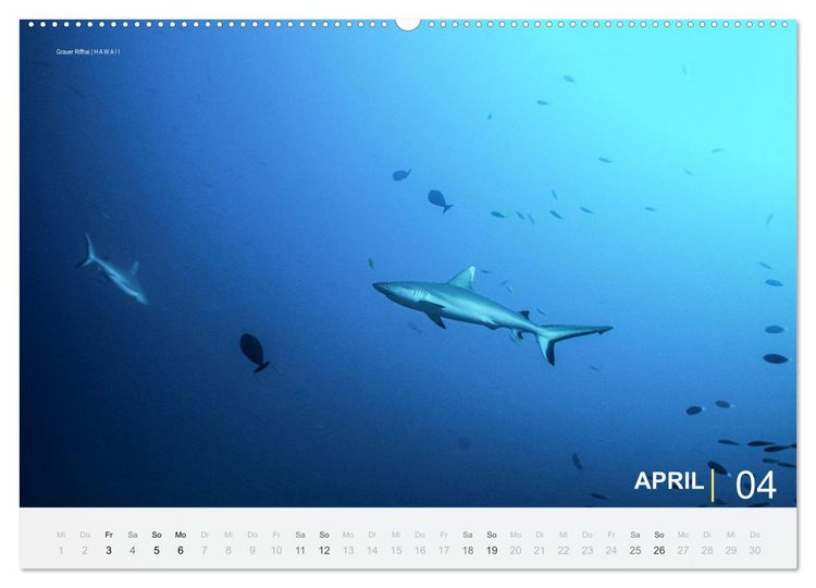 Produktbild: Einfach Tauchen - Wunderbare Tauchpl&auml;tze und Korallenriffe (Wandkalender 2026 DIN A2 quer), CALVENDO Monatskalender