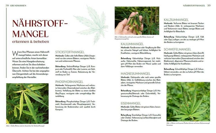 Produktbild: Cannabis-Anbau f&uuml;r Anf&auml;nger