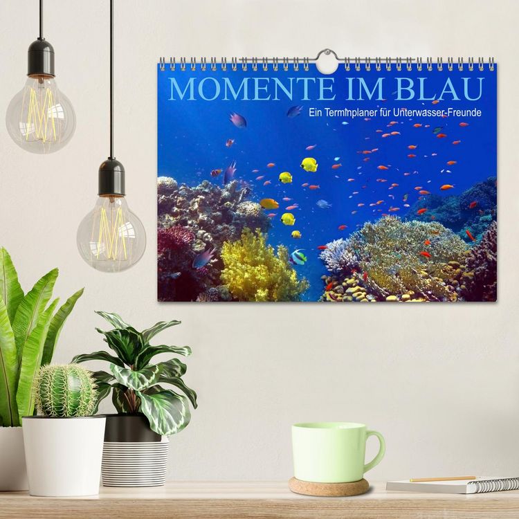 Produktbild: Momente im Blau - Ein Terminplaner f&uuml;r Unterwasser-Freunde (Wandkalender 2026 DIN A4 quer), CALVENDO Monatskalender