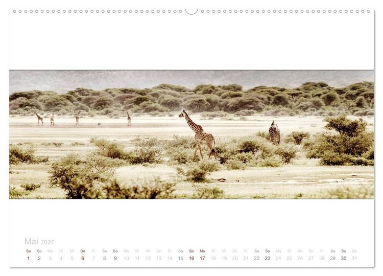 Produktbild: Serengeti Panorama (Wandkalender 2027 DIN A2 quer), CALVENDO Monatskalender
