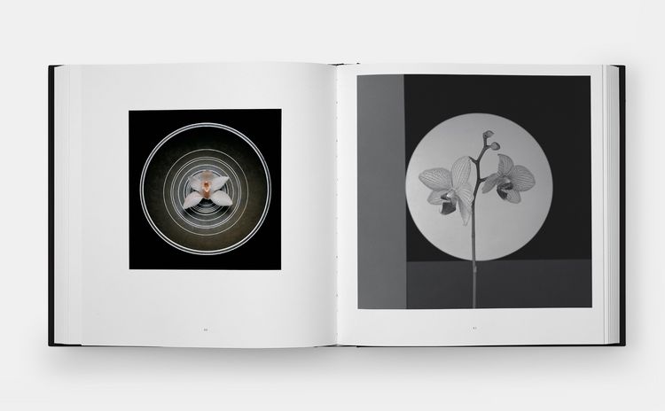 Produktbild: Mapplethorpe Flora: The Complete Flowers (2024)