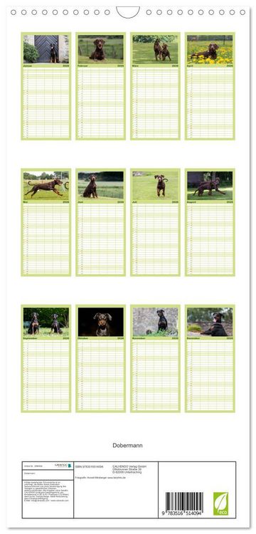 Produktbild: Familienplaner 2026 - Dobermann mit 5 Spalten (Wandkalender, 21 x 45 cm) CALVENDO