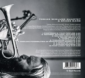 Produktbild: Silver Needle