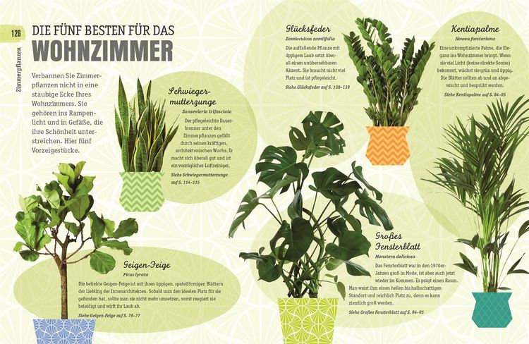 Produktbild: So &uuml;berleben Zimmerpflanzen garantiert