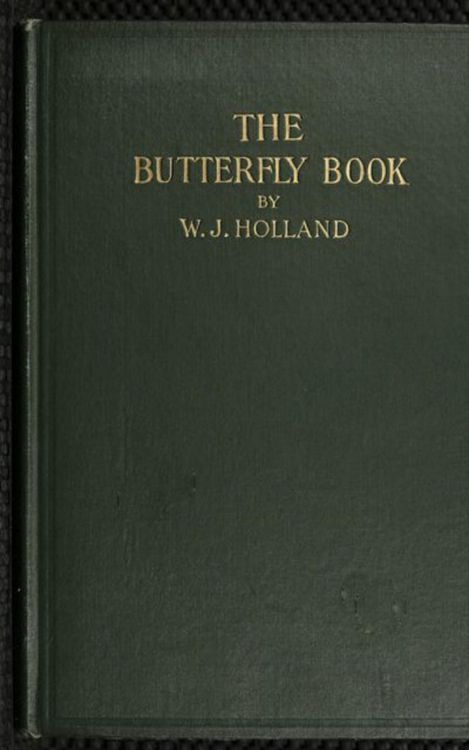 Produktbild: The Butterfly Book