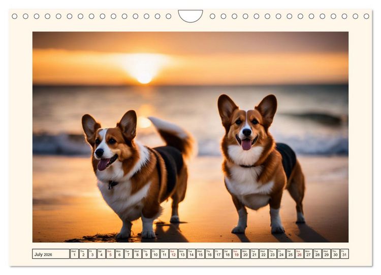 Produktbild: Welsh Corgi Pembroke (Wall Calendar 2026 DIN A4 landscape), CALVENDO 12 Month Wall Calendar