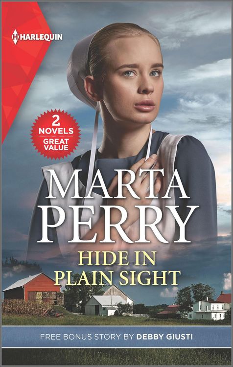 Produktbild: Hide in Plain Sight