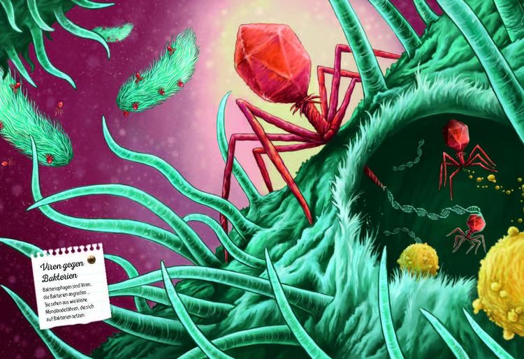 Produktbild: Verborgene Welt des Mikrokosmos