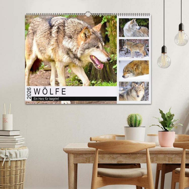 Produktbild: W&ouml;lfe. Ein Herz f&uuml;r Isegrim! (Wandkalender 2026 DIN A2 quer), CALVENDO Monatskalender