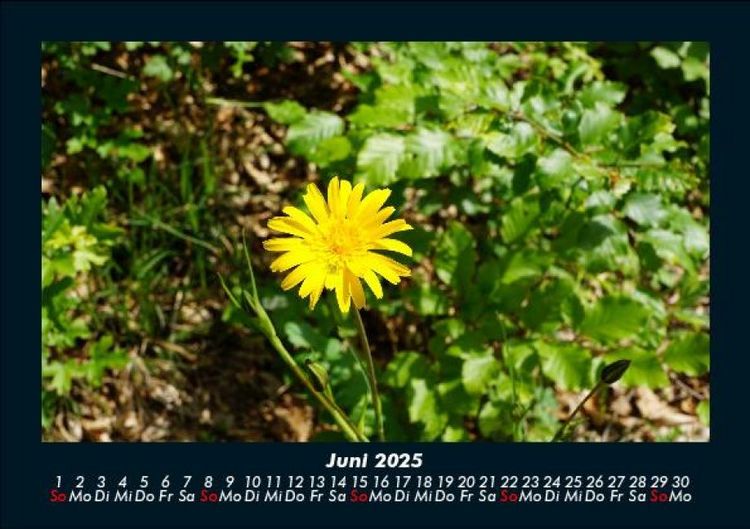 Produktbild: Naturlandschaften 2025 Fotokalender DIN A5