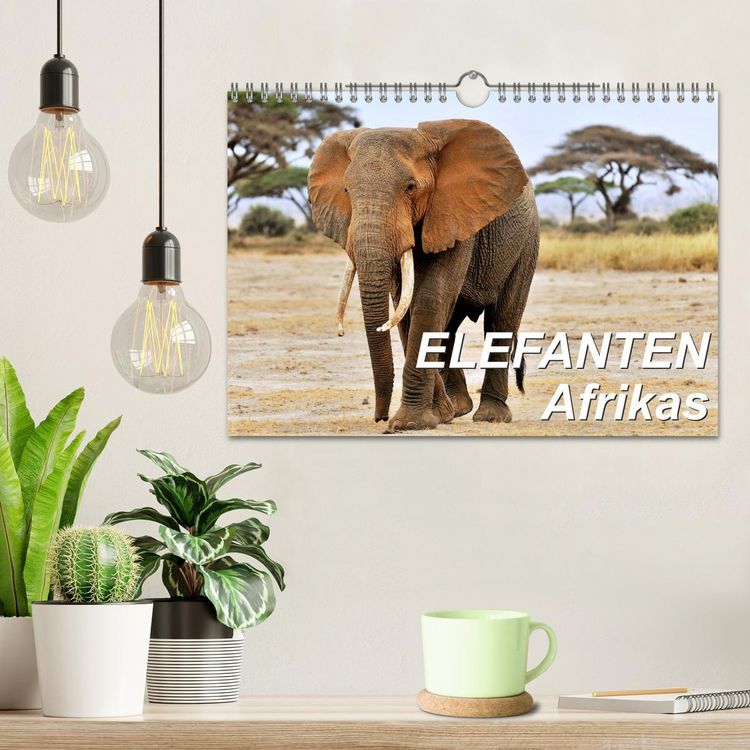 Produktbild: Elefanten Afrikas (Wandkalender 2026 DIN A4 quer), CALVENDO Monatskalender