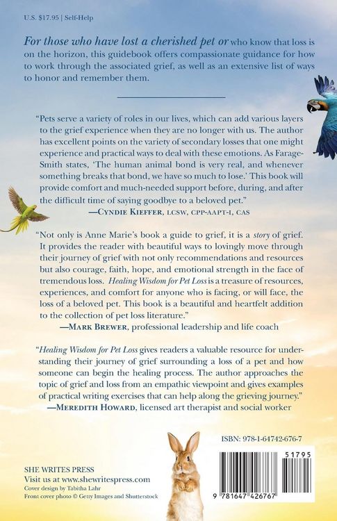 Produktbild: Healing Wisdom for Pet Loss