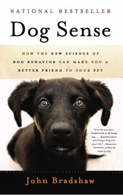 Produktbild: Dog Sense