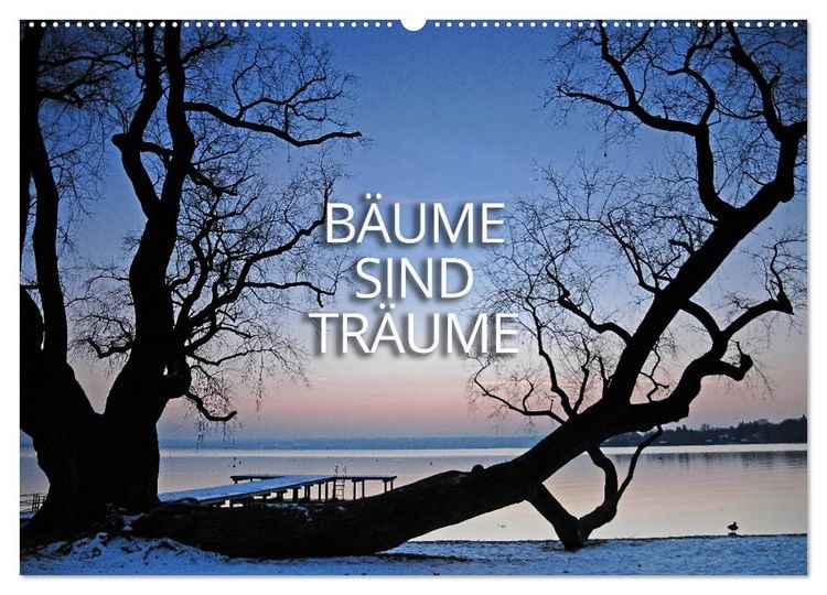 Produktbild: B&auml;ume sind Tr&auml;ume (Wandkalender 2026 DIN A2 quer), CALVENDO Monatskalender