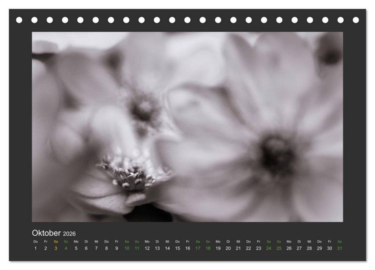 Produktbild: Pflanzen in Schwarz und Wei&szlig; (Tischkalender 2026 DIN A5 quer), CALVENDO Monatskalender