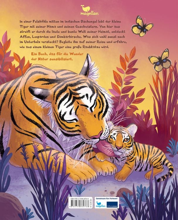 Produktbild: Der kleine Tiger - Zu Hause in Indien