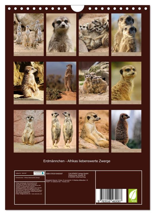 Produktbild: Erdm&auml;nnchen - Afrikas liebenswerte Zwerge (Wandkalender 2026 DIN A4 hoch), CALVENDO Monatskalender