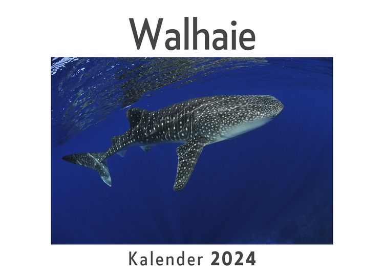 Produktbild: Walhaie (Wandkalender 2024, Kalender DIN A4 quer, Monatskalender im Querformat mit Kalendarium, Das perfekte Geschenk)