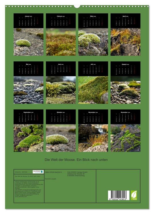 Produktbild: Die Welt der Moose. Ein Blick nach unten (hochwertiger Premium Wandkalender 2026 DIN A2 hoch), Kunstdruck in Hochglanz