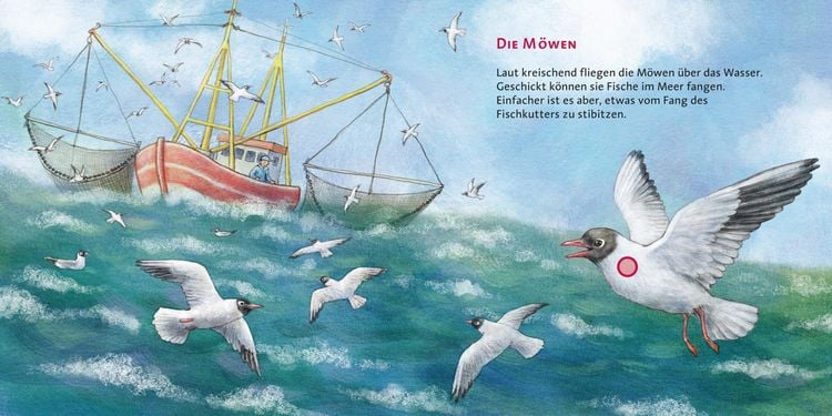Produktbild: Das Meer / H&ouml;r mal Band 8