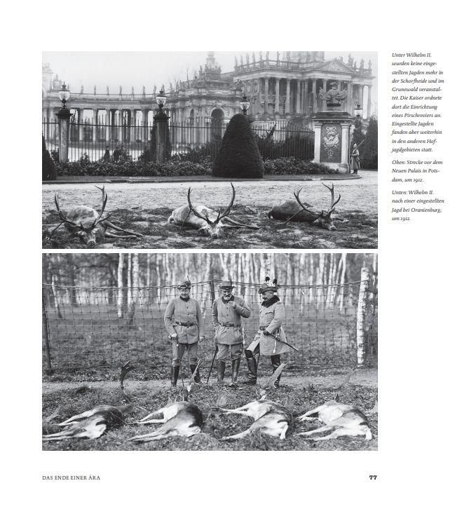 Produktbild: Jagd und Macht