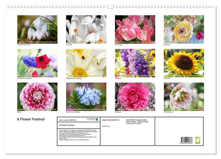 Produktbild: A Flower Festival (Wall Calendar 2026 DIN A2 landscape), CALVENDO 12 Month Wall Calendar