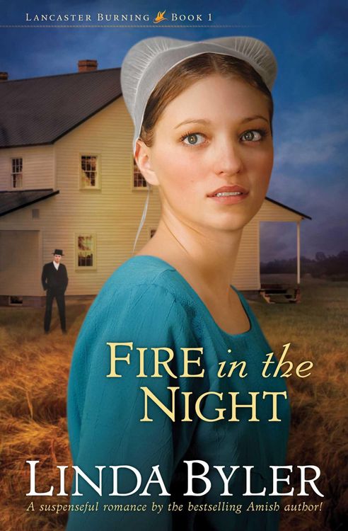 Produktbild: Fire in the Night