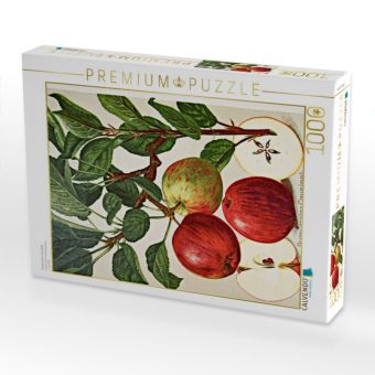 Produktbild: CALVENDO Puzzle Purpurroter Cousinot | 1000 Teile Lege-Gr&ouml;&szlig;e 64x48cm Foto-Puzzle f&uuml;r gl&uuml;ckliche Stunden