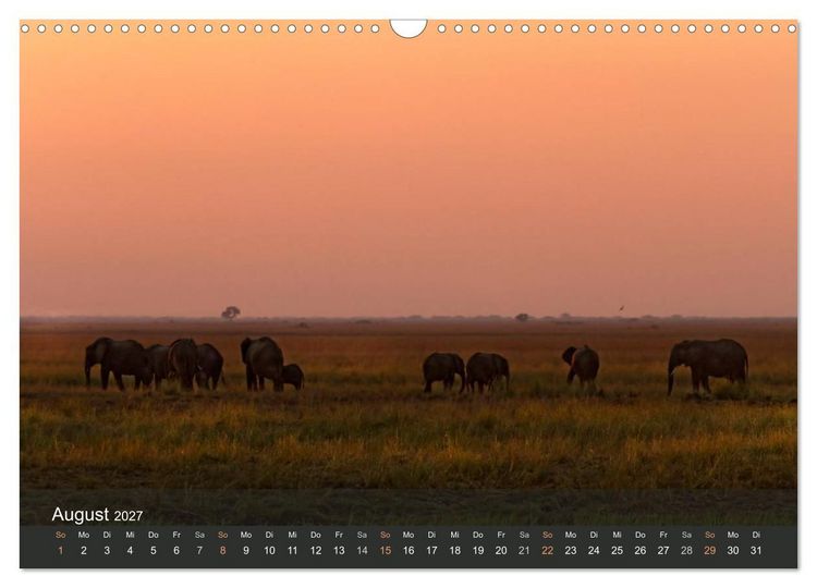 Produktbild: Elefanten (Wandkalender 2027 DIN A3 quer), CALVENDO Monatskalender
