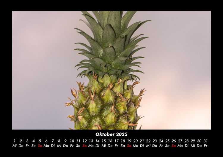 Produktbild: Obstkalender 2025 Fotokalender DIN A3