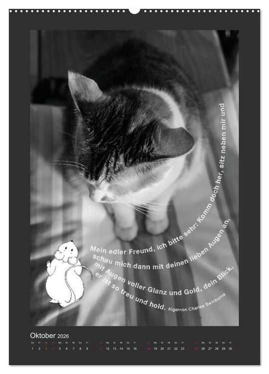 Produktbild: Katz & Maus (Wandkalender 2026 DIN A2 hoch), CALVENDO Monatskalender