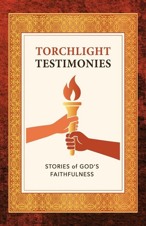 Produktbild: Torchlight Testimonies
