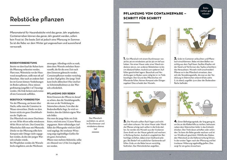 Produktbild: Wein im Garten anbauen & ernten