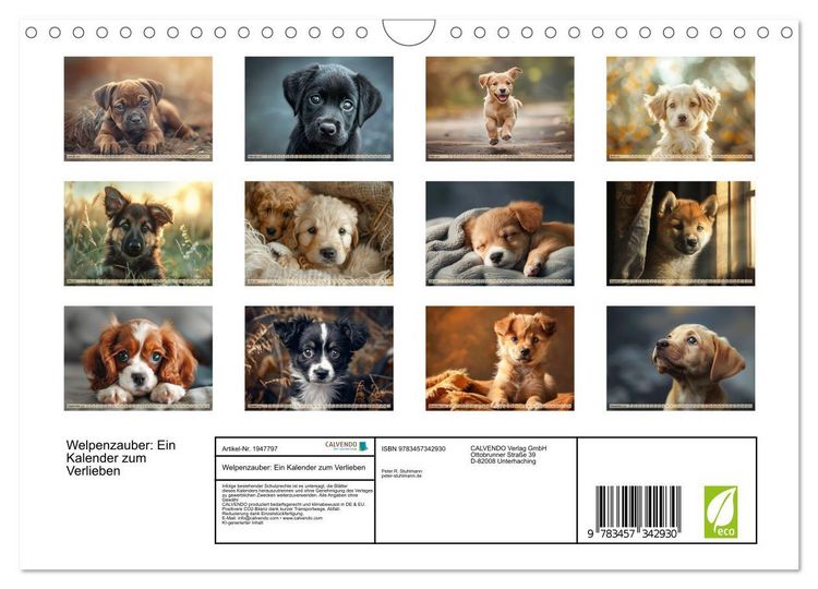 Produktbild: Welpenzauber: Ein Kalender zum Verlieben (Wandkalender 2026 DIN A4 quer), CALVENDO Monatskalender