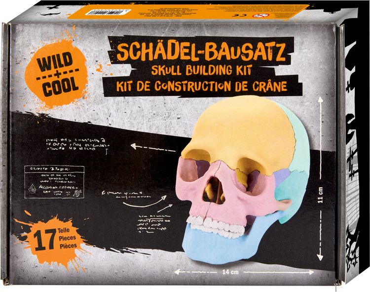Produktbild: Sch&auml;del-Bausatz - Wild+Cool
