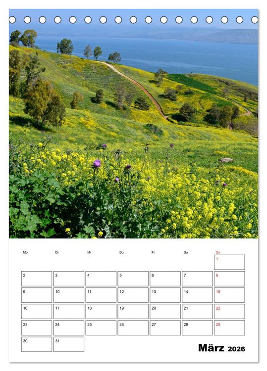 Produktbild: Israel - Der Monatsplaner 2026 (Tischkalender 2026 DIN A5 hoch), CALVENDO Monatskalender